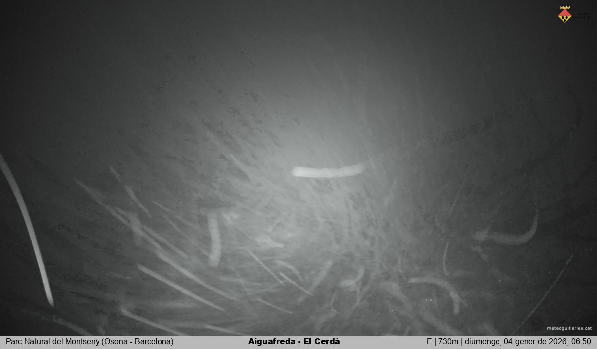 Aiguafreda - El Cerdà