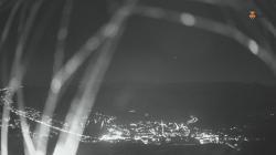 Webcams