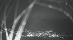 Webcams