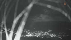 Webcams