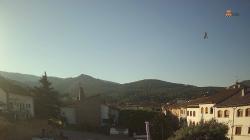 Webcams