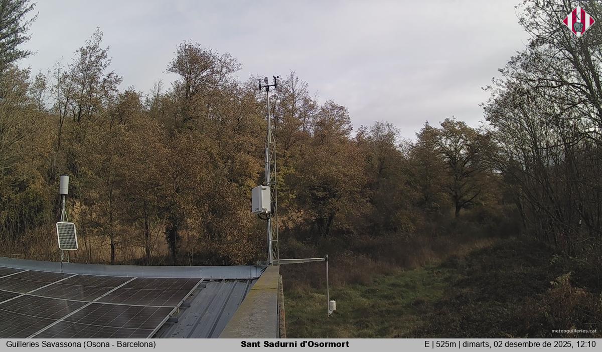 Sant Sadurní d'Osormort 