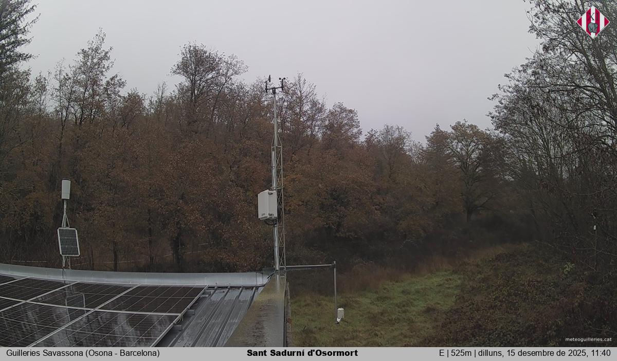 Sant Sadurní d'Osormort 