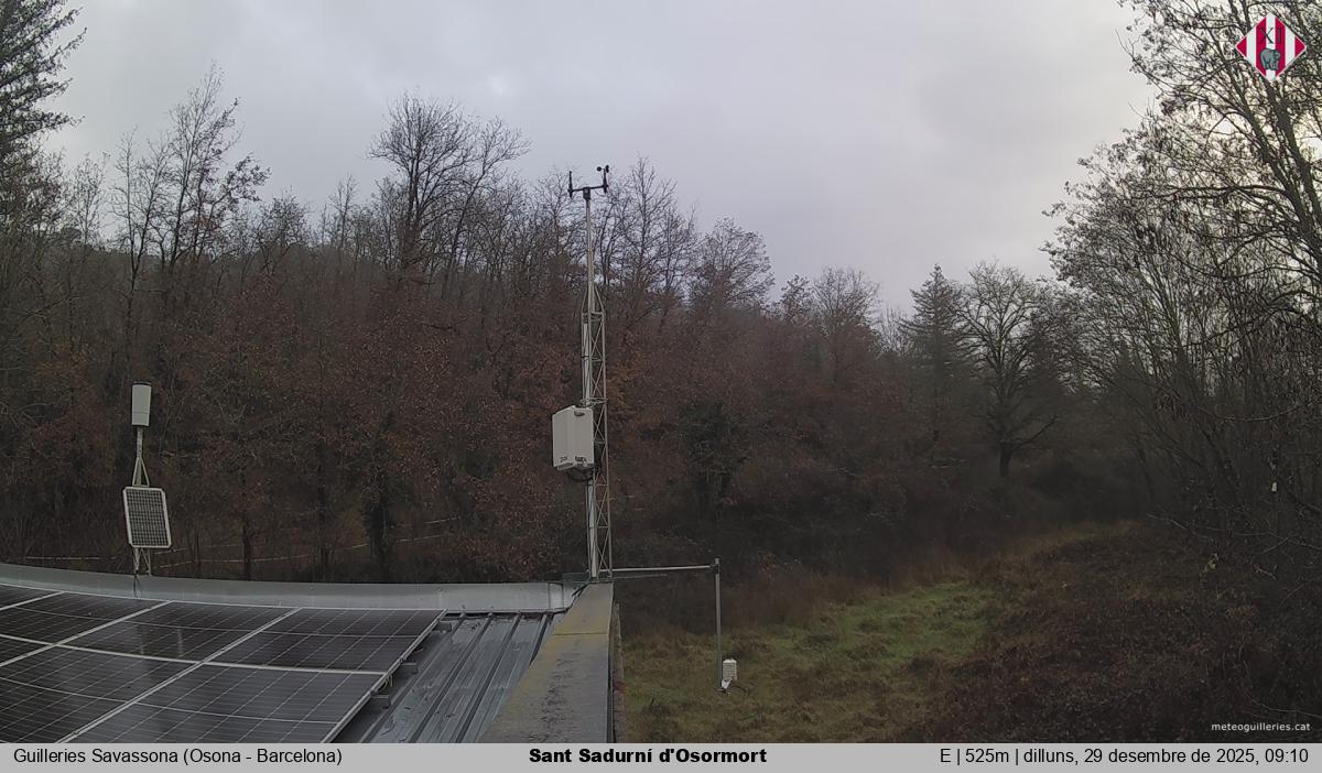 Sant Sadurní d'Osormort 