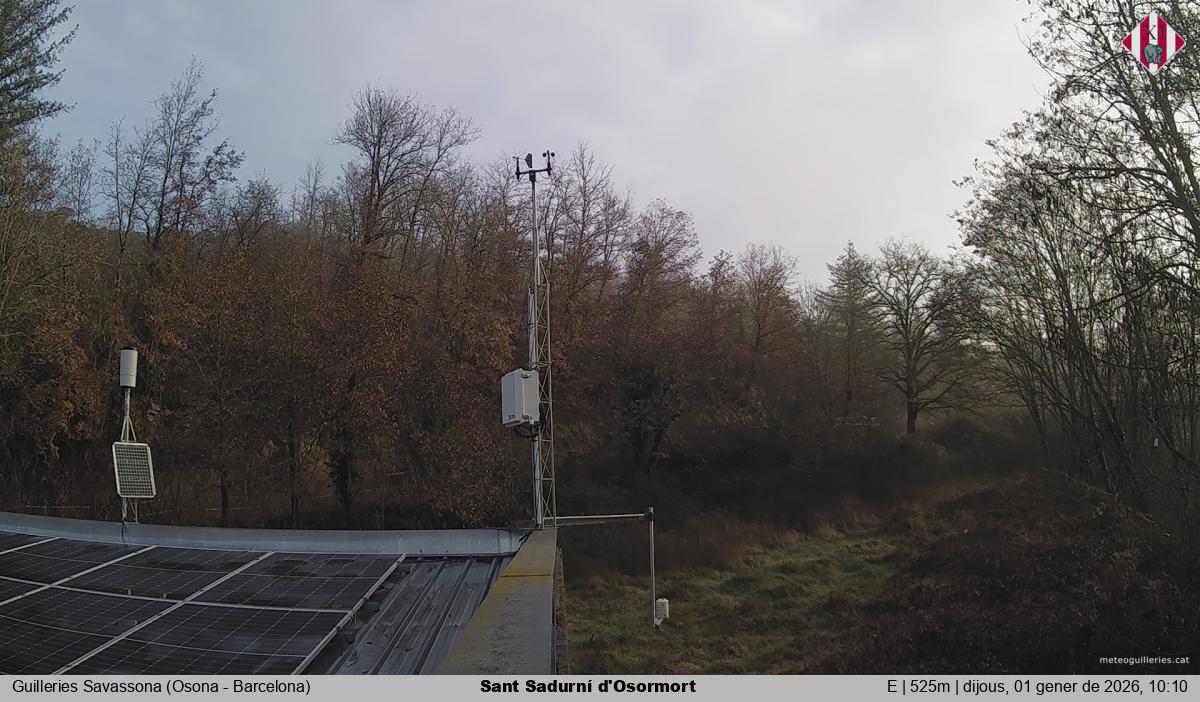 Sant Sadurní d'Osormort 