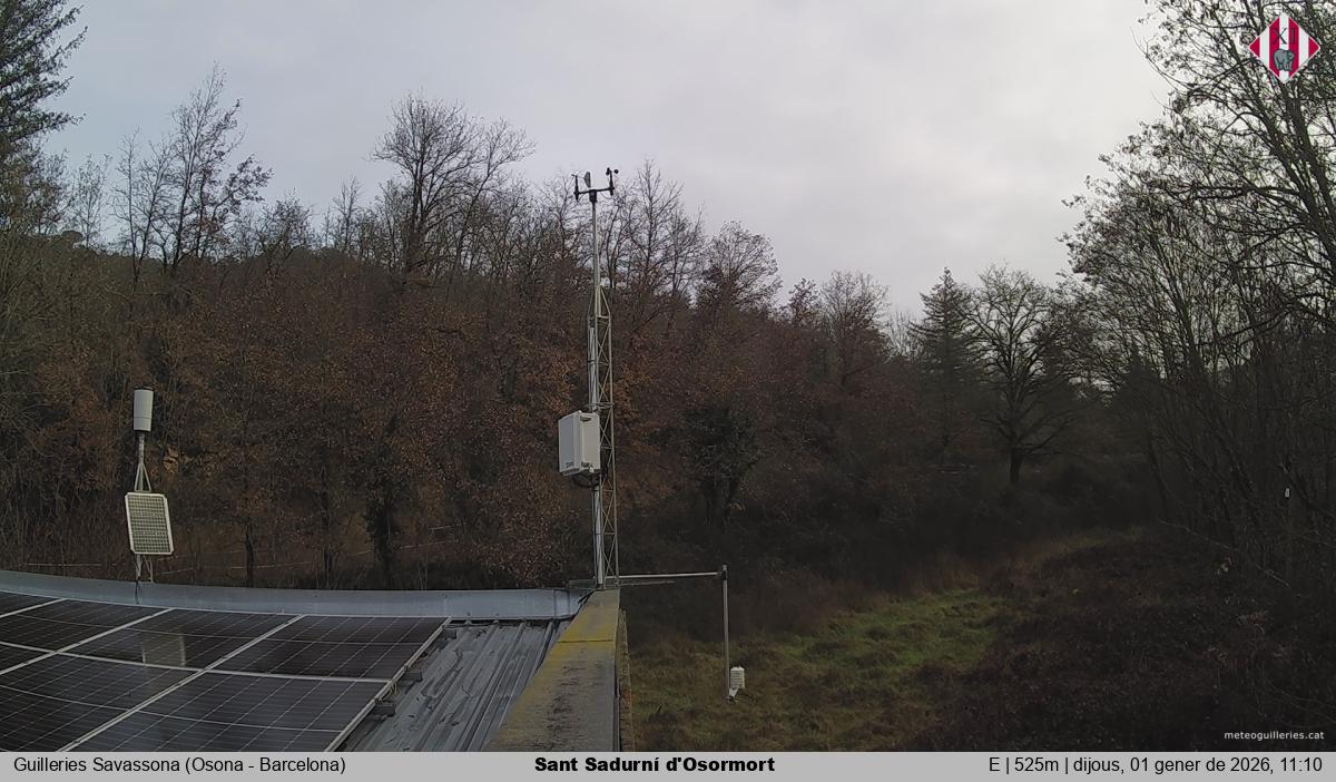 Sant Sadurní d'Osormort 