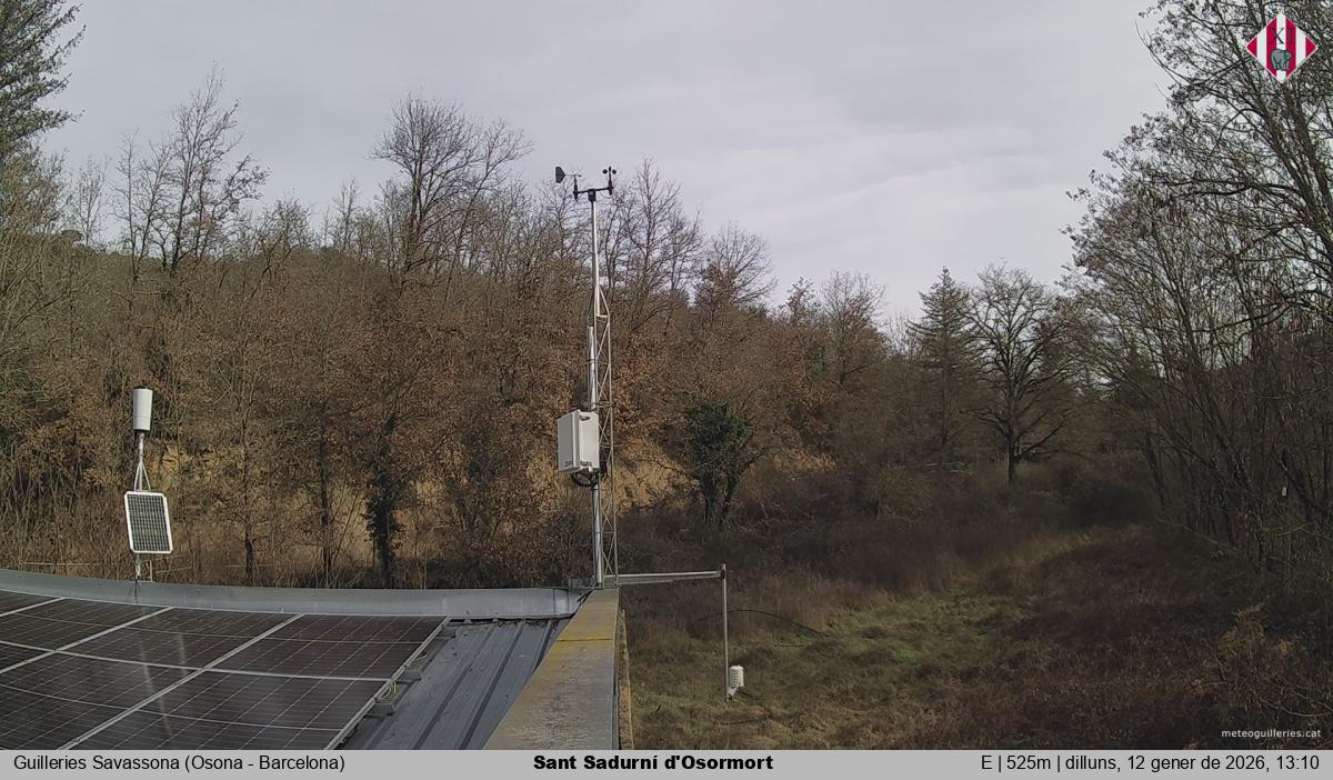 Sant Sadurní d'Osormort 