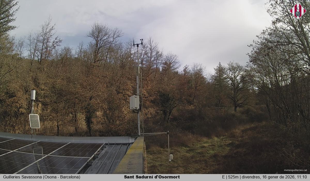 Sant Sadurní d'Osormort 