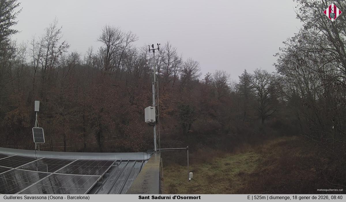 Sant Sadurní d'Osormort 