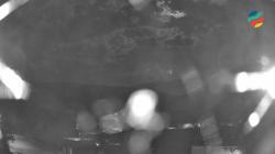 Webcams