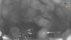 Webcams