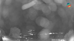 Webcams