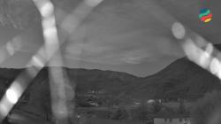 Webcams