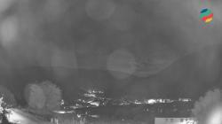 Webcams
