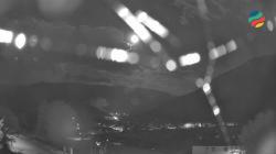 Webcams