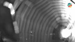 Webcams