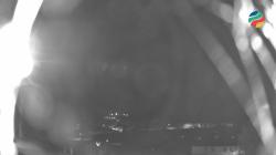 Webcams