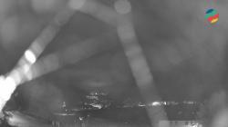 Webcams