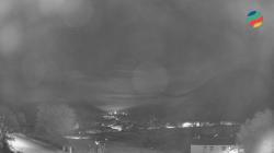 Webcams