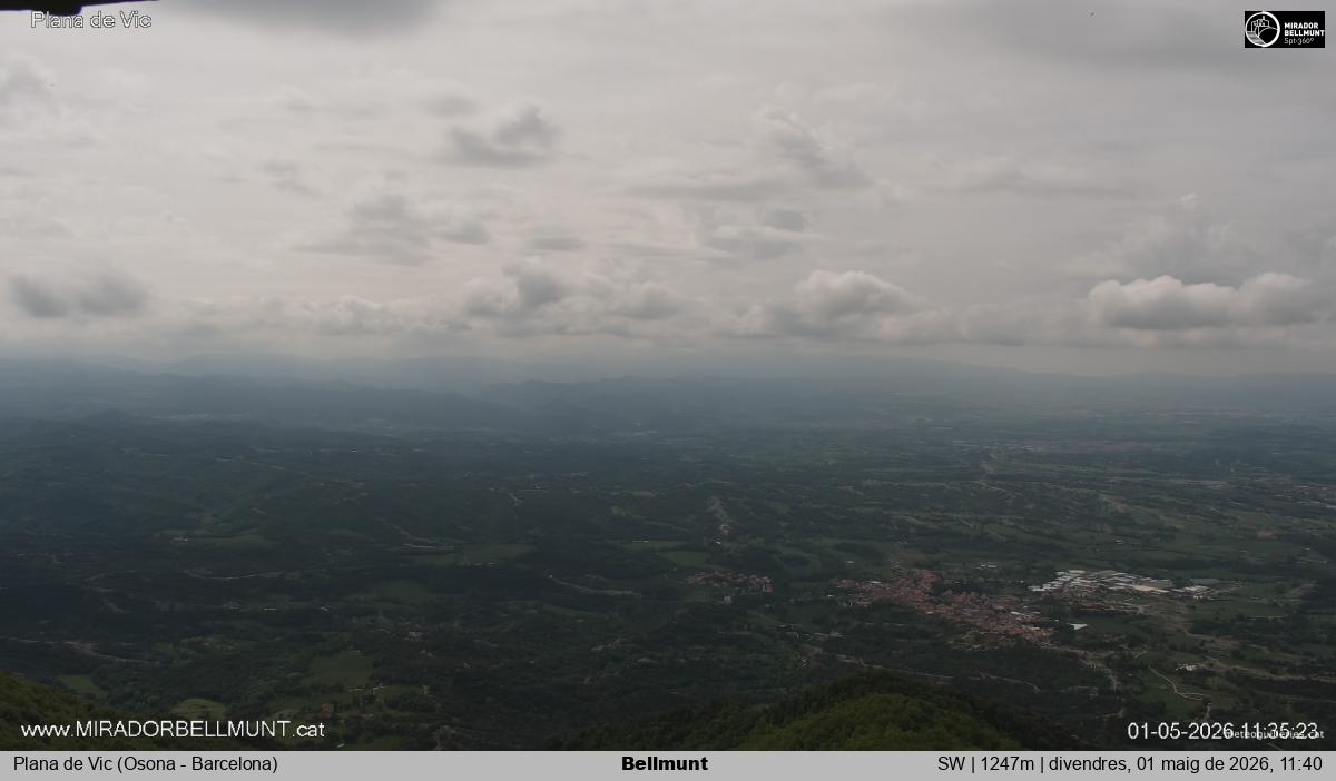Bellmunt