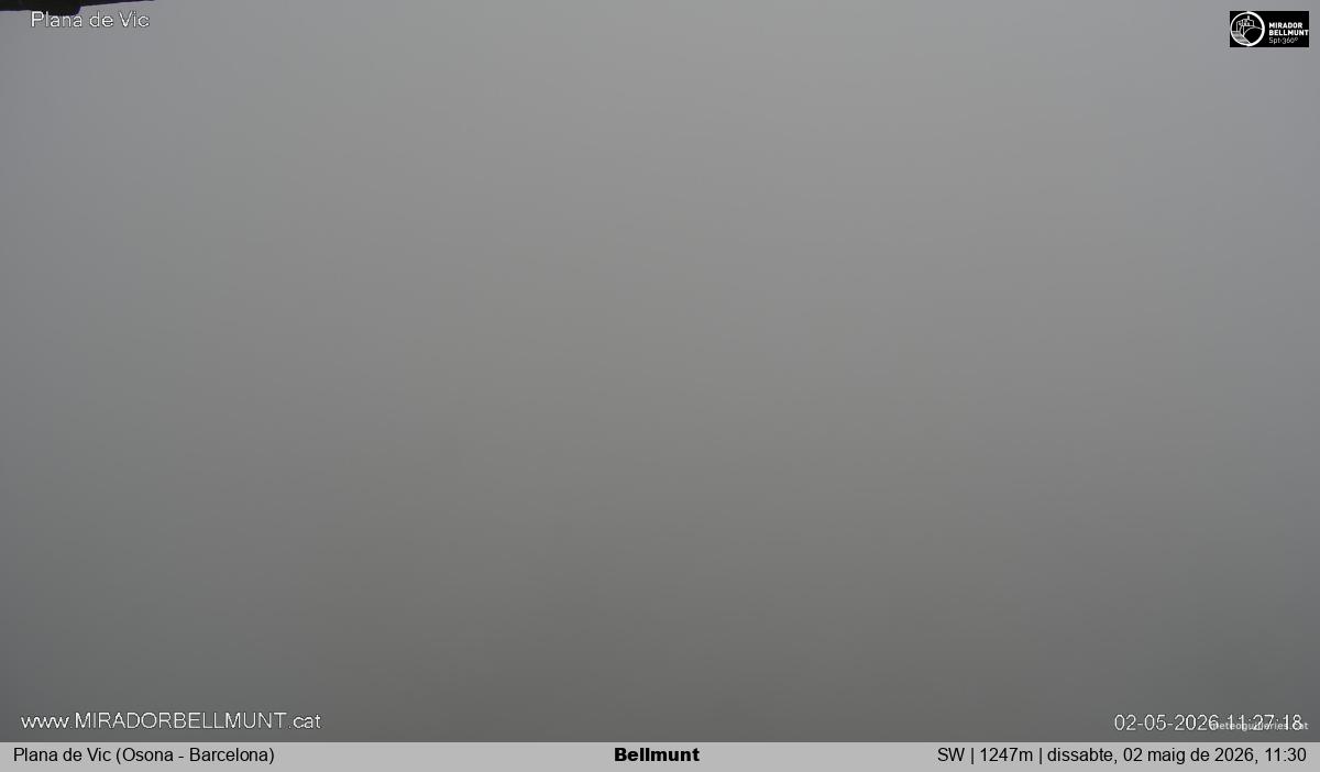 Bellmunt