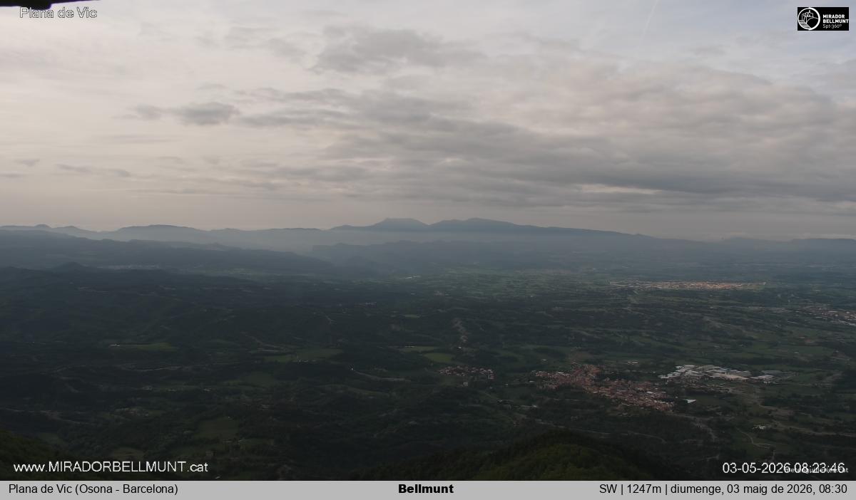 Bellmunt