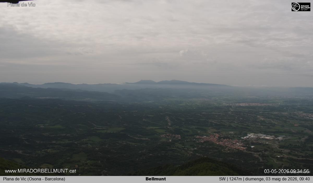 Bellmunt