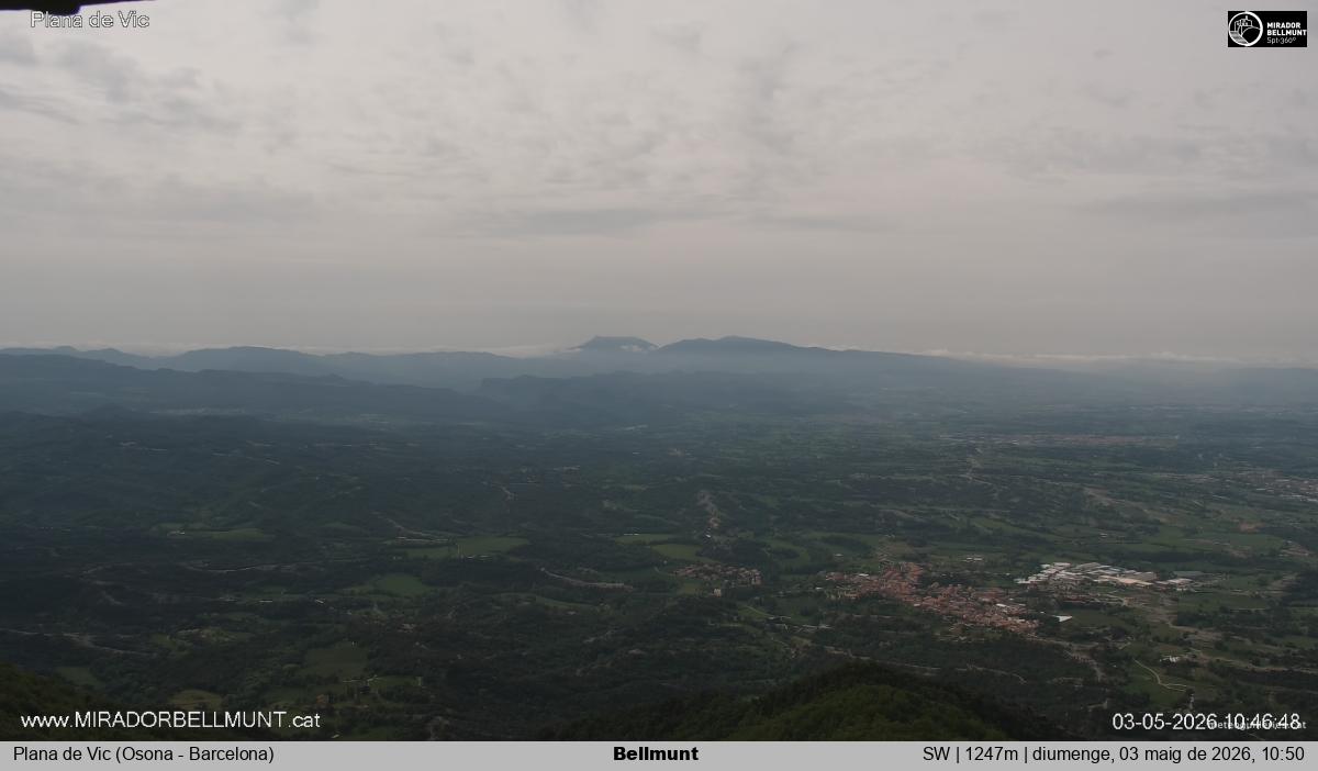 Bellmunt