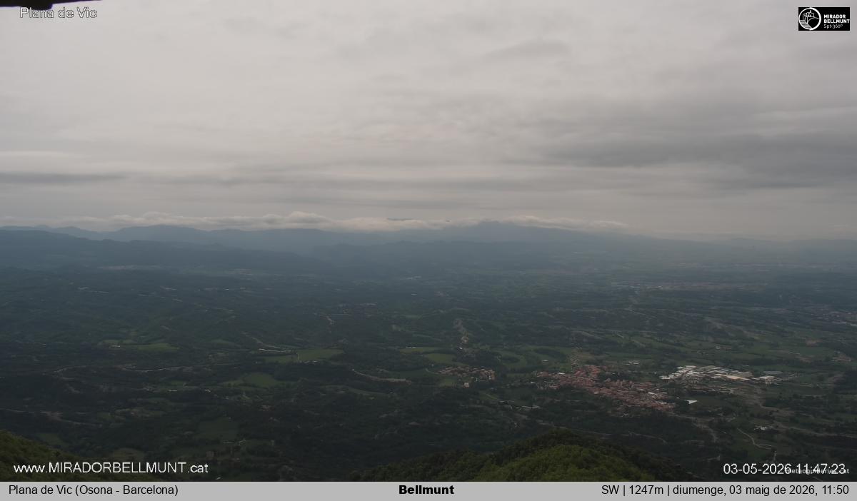 Bellmunt