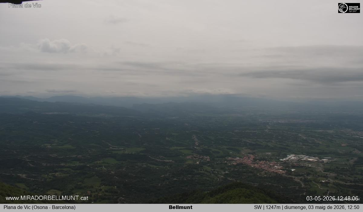 Bellmunt