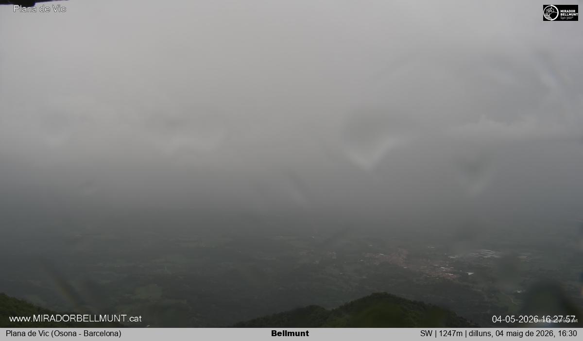 Bellmunt