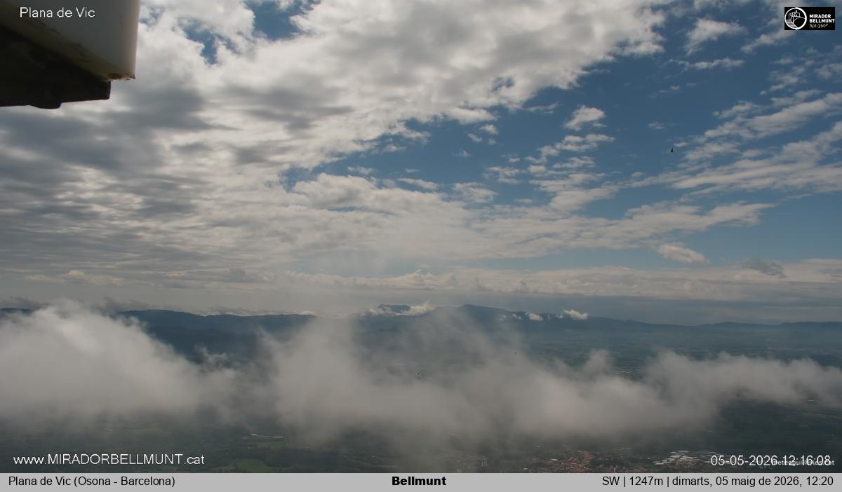 Bellmunt