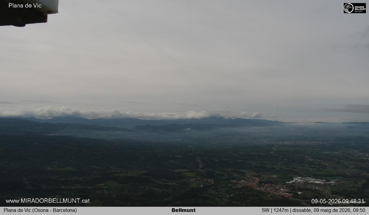 Bellmunt