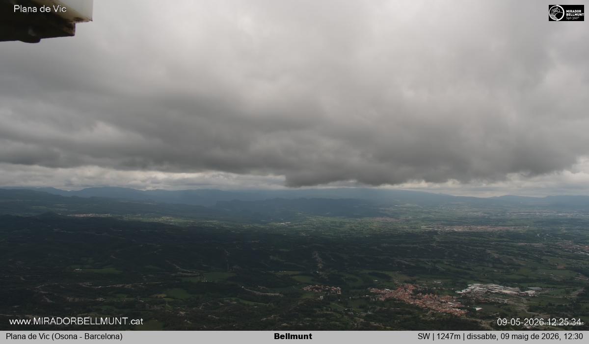Bellmunt