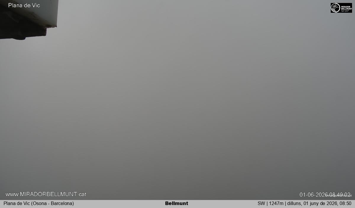 Bellmunt