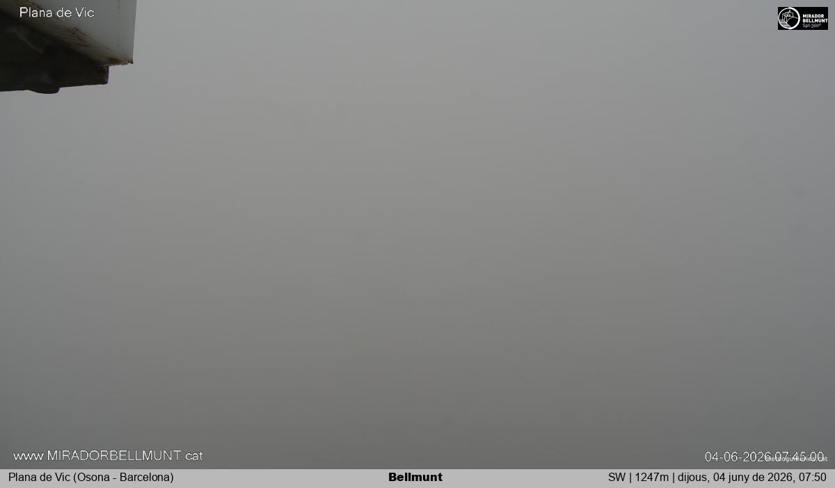Bellmunt