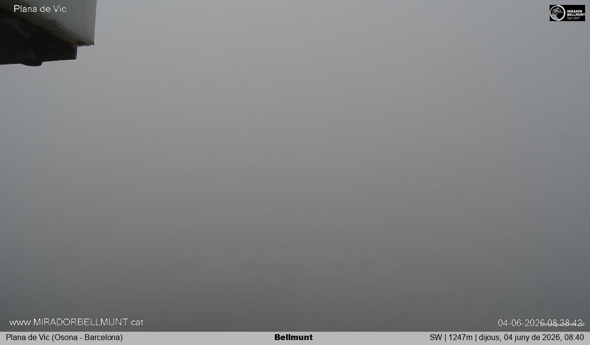 Bellmunt