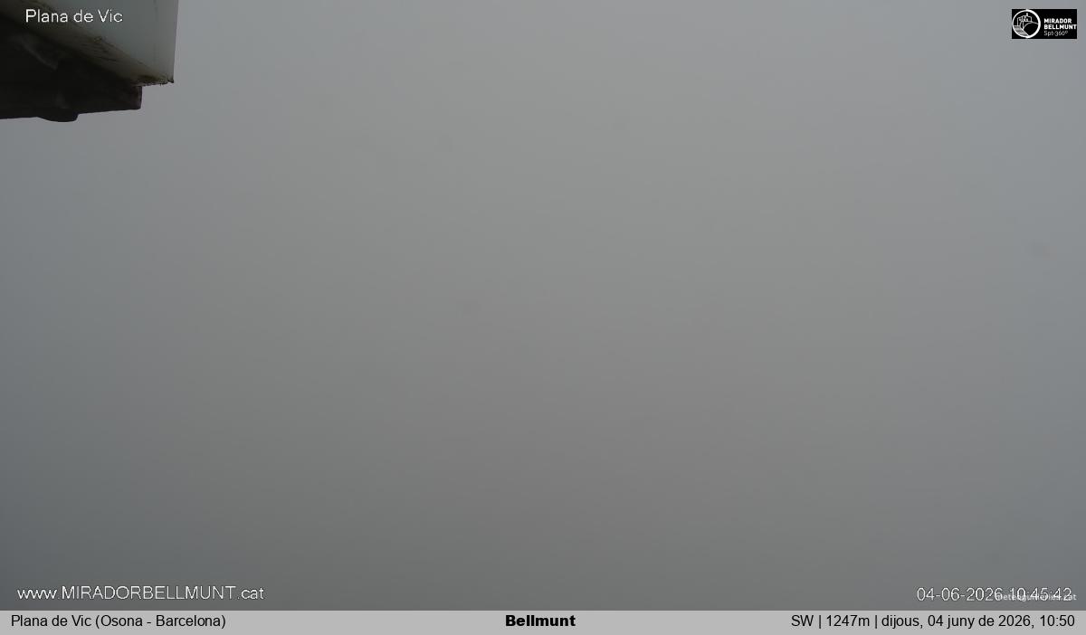 Bellmunt