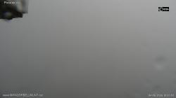 Webcams