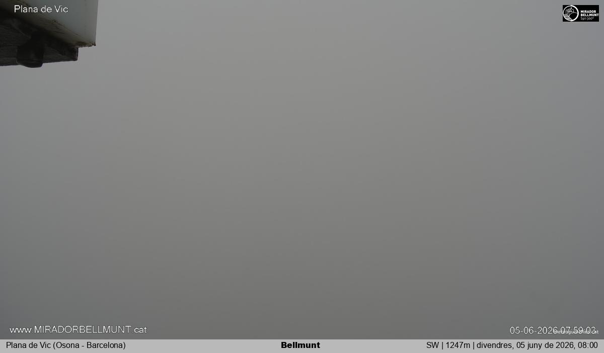 Bellmunt