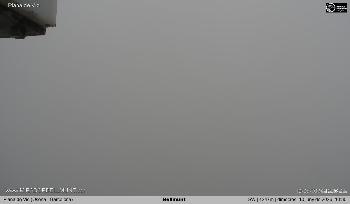 Bellmunt