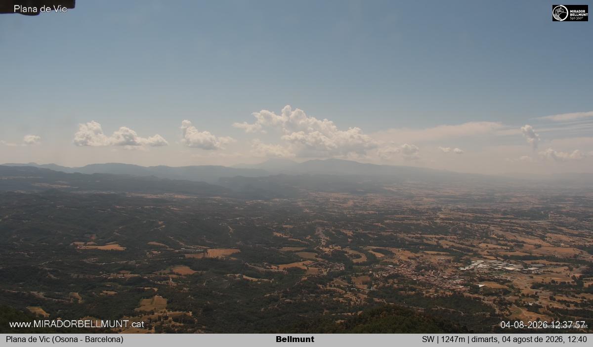 Bellmunt