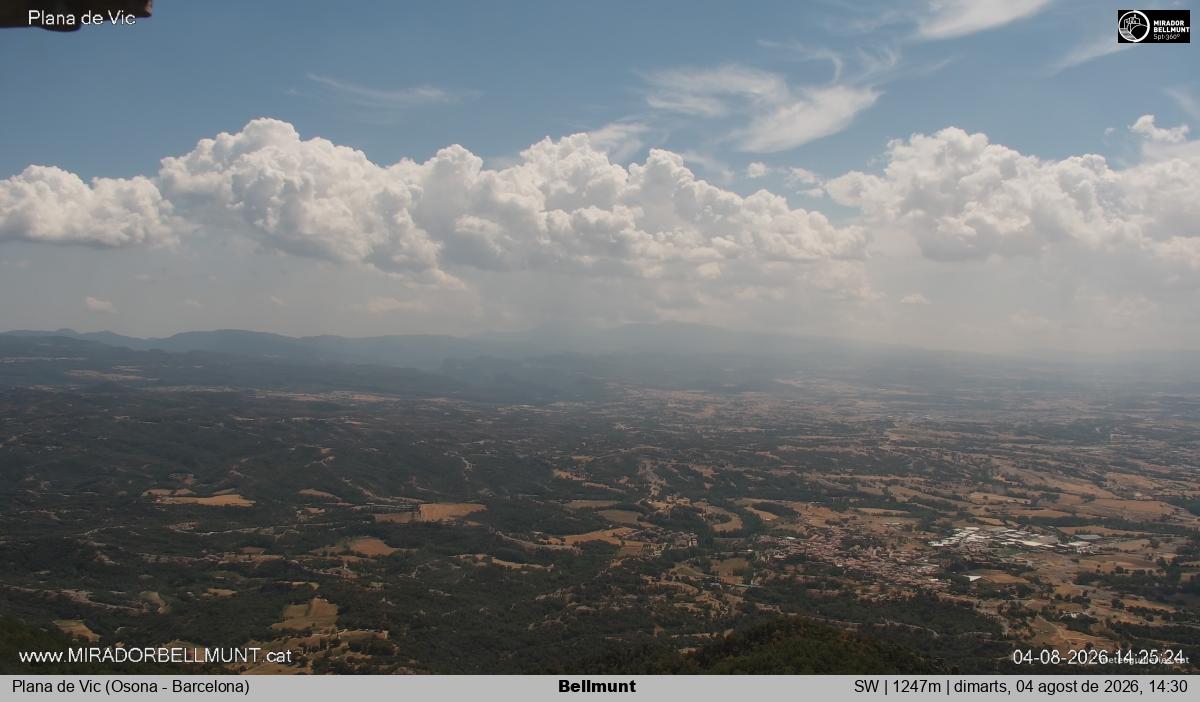 Bellmunt