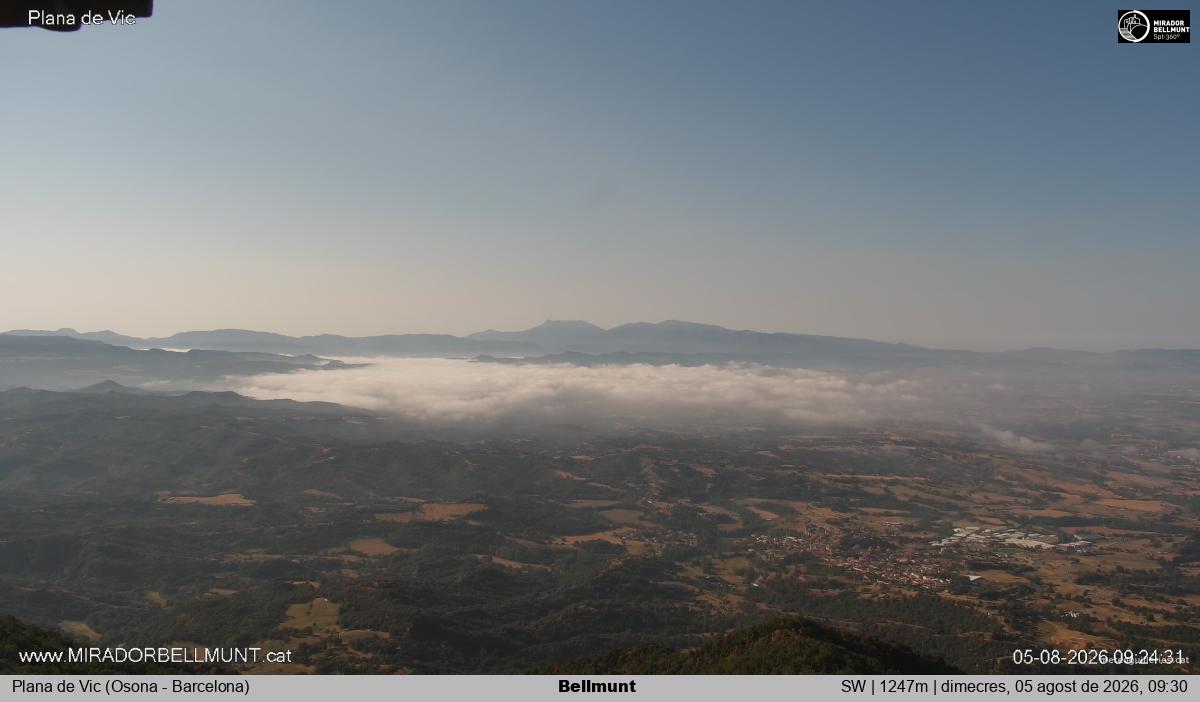 Bellmunt