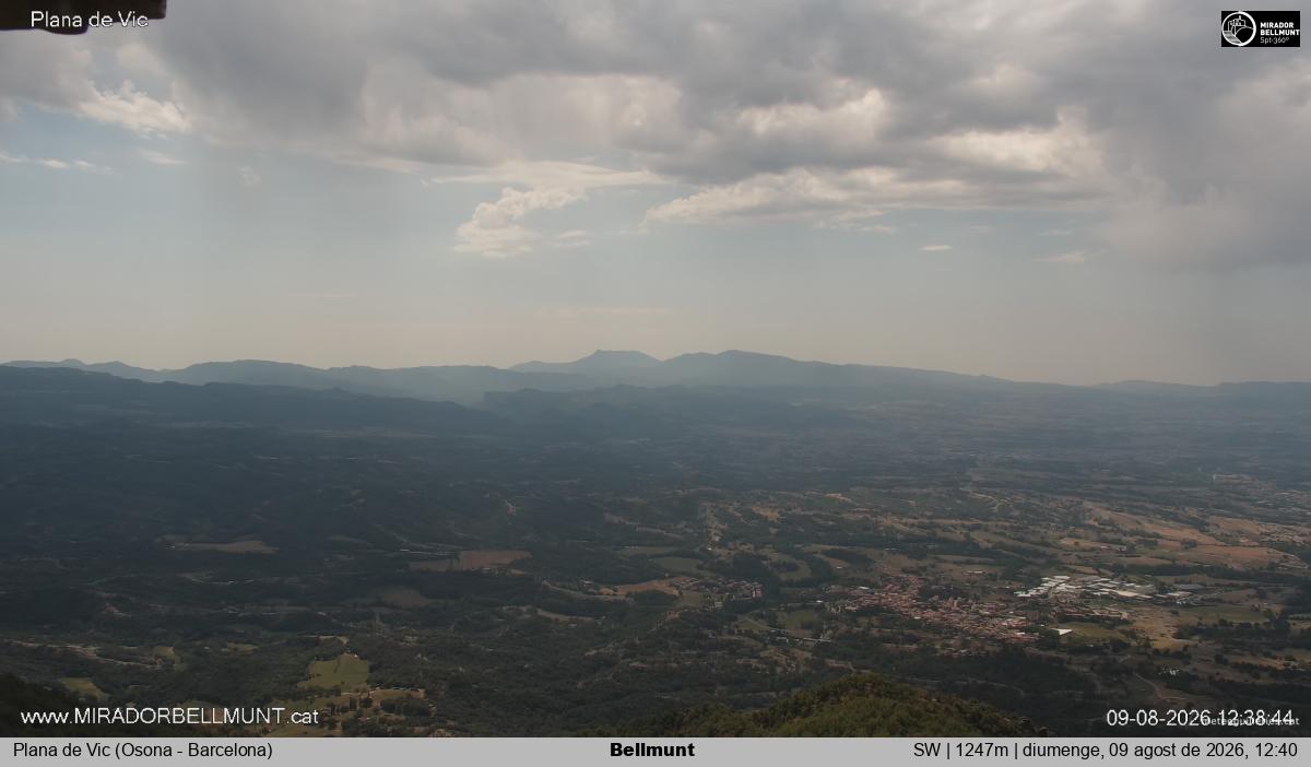 Bellmunt