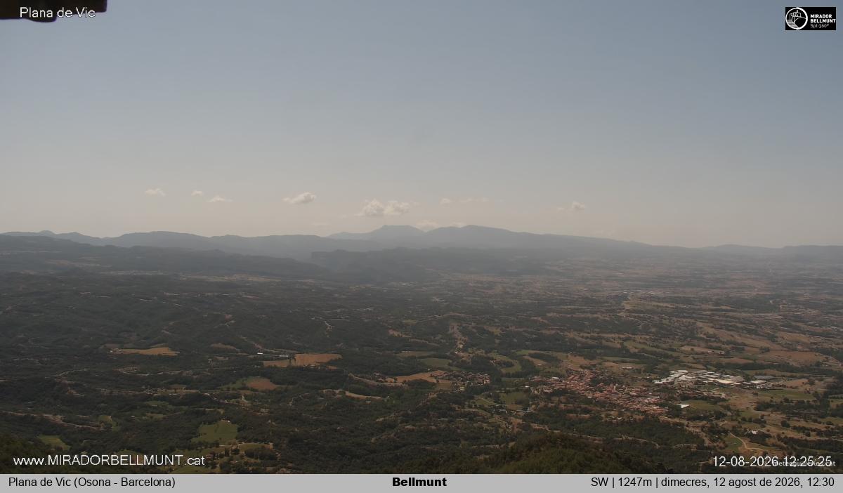 Bellmunt