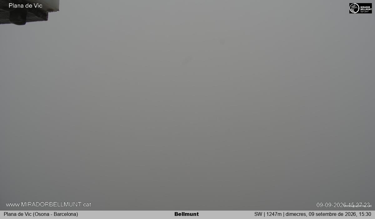 Bellmunt