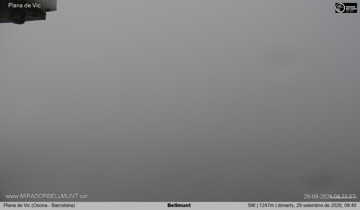 Bellmunt