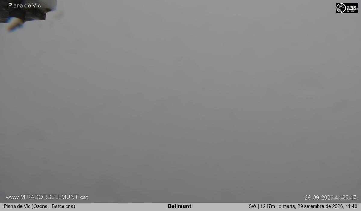 Bellmunt
