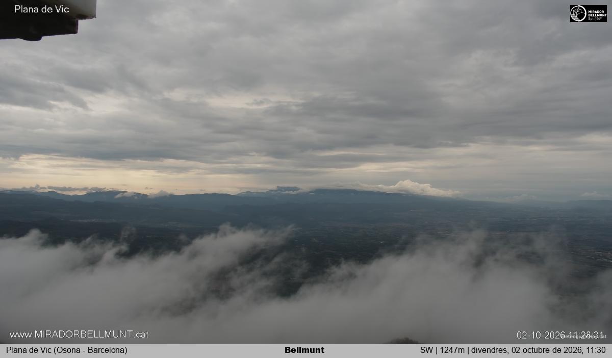 Bellmunt